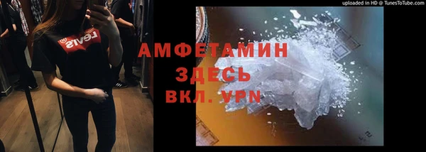 дмт Алзамай