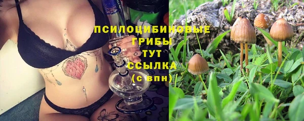 гидропоника Алексеевка