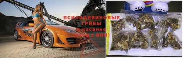 дмт Алзамай