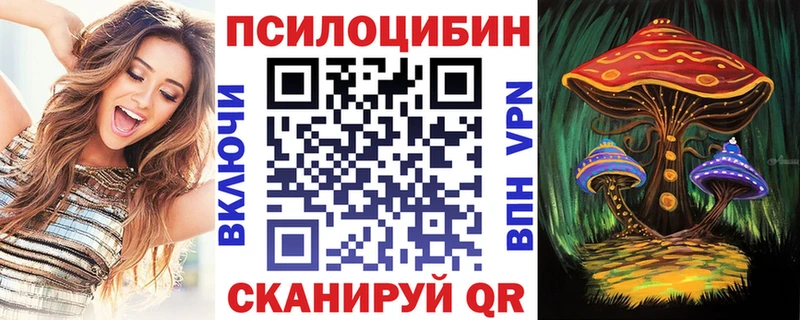 где найти   omg онион  Псилоцибиновые грибы Psilocybe  Калининск 